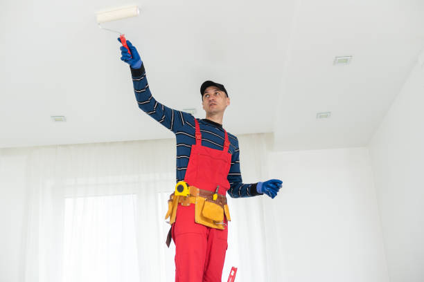 Best Drywall Sanding and Smoothing  in Burnsville, MN